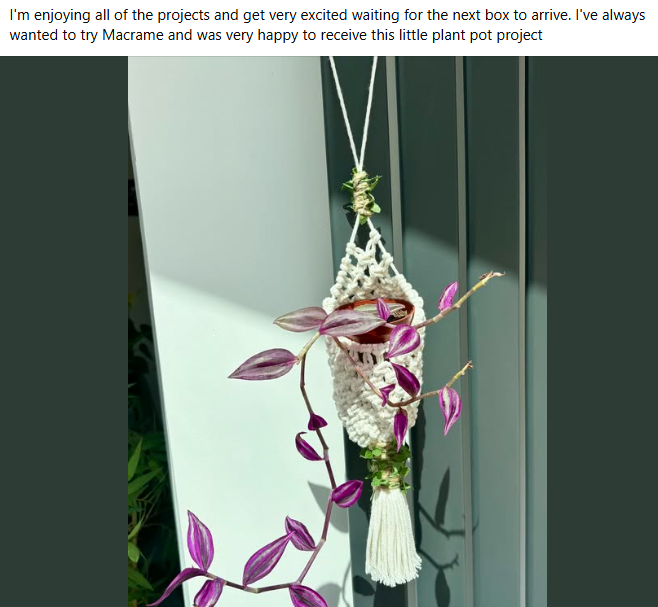 Community share: a finished macrame plant hanger with a trailing plant in the sunlight.